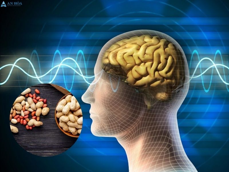 Bị tuyến giáp có nên ăn lạc không