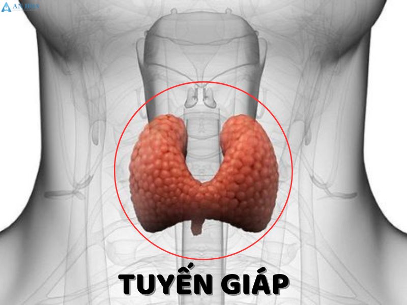 Bị tuyến giáp có nên ăn lạc không