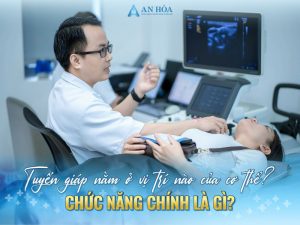Tuyến giáp nằm ở vị trí nào