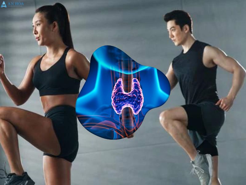 Tuyến giáp nằm ở vị trí nào